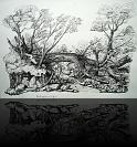 « Landschaft »<br>Tusche auf Zeichenpapier - 59 x 42 cm