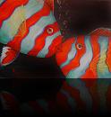 « Kissfishes »<br>Öl auf Leinwand - 50 x 70 cm<br>- in Privatbesitz
